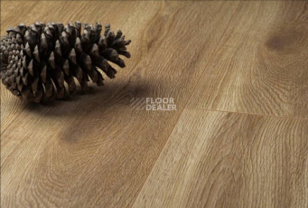 Kronopol Platinium Zodiak d4568 Дуб Leo фото 2 | FLOORDEALER